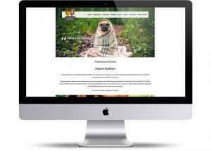 web de fabricación de productos para mascotas