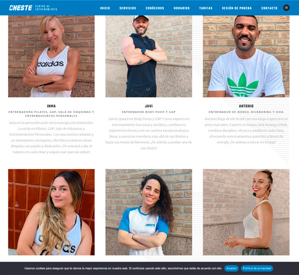 profesores gimnasiocheste.es